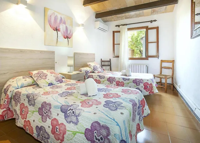 Vidrier Ii By * Port de Pollença